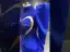 High-end Vintage / Retro Royal Blue Handmade  Beading Sequins Evening Dresses 2022 Trumpet / Mermaid High Neck Puffy 1/2 Sleeves Sweep Train Evening Party Formal Dresses