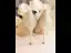 Charming Bling Bling Gold Pearl Sequins Rhinestone Wedding Shoes 2023 Leather 8 cm Stiletto Heels Pointed Toe Wedding Pumps High Heels