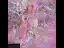 Elegant Candy Pink Prom Dresses 2021 Scoop Neck Pearl Rhinestone Lace Flower Short Sleeve Backless Floor-Length / Long Formal Dresses