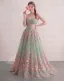 Vert Cendré Amoureux Brodé Fleur Robe De Bal Sans Manches Longue Princesse Fée Des Fleurs Robe De Cérémonie