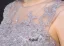 Une Ligne Sans Manches Dentelle Brodée Robe De Bal En Tulle