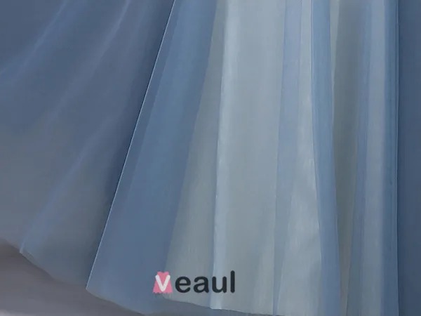 Elegante Skuldre Korte Ermer V-hals Fotsid Lang Tyll Aftenkjoler/Selskapskjoler