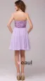 Dentelle Mousseline Robe De Cocktail Bustier Zippée