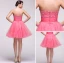 Pastèque Robe Sans Manches Robe De Cocktail Bustier