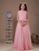 Lovely Pink Sleeveless V-Neck Chiffon Flower Girl Dress