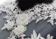 2015 Flower Serie A-line Long Sleeves Pierced Appliques Lace Beading Pearl Sash Organza Wedding Dress