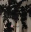 2015 Unique Sheath V-neck Ruffle Shoulders Mermaid Appliques Lace Evening Dress