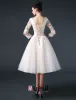 2015 A-line V-neck Ruffle Sash Appliques Lace Short Organza & Satin Wedding Dress