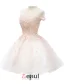 Elegant Pink Party Dress Organza Cocktail Dress With Flowers
