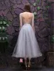 2016 Moda Kwadratowy Dekolt Aplikacja Srebrna Sukienka Koronki Kwiaty Impreza Z Cekinami