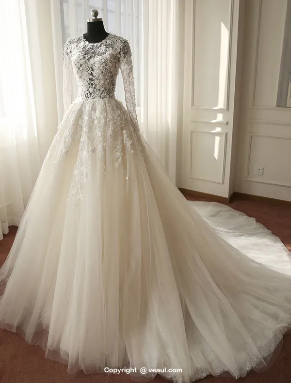 Gorgeous Wedding Dress 2016 Applique Lace Flowers Backless Tulle Bridal Gown With Long Sleeves