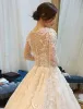 Gorgeous Wedding Dress 2016 Applique Lace Flowers Backless Tulle Bridal Gown With Long Sleeves