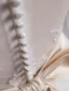 Mermaid Wedding Dresses 2016 Beading Scoop Neckline Applique Lace Sequins Bridal Gown With Sash