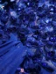 Beautiful Party Dresses 2016 Scoop Neckline Royal Blue Lace Chiffon Long Evening Dress