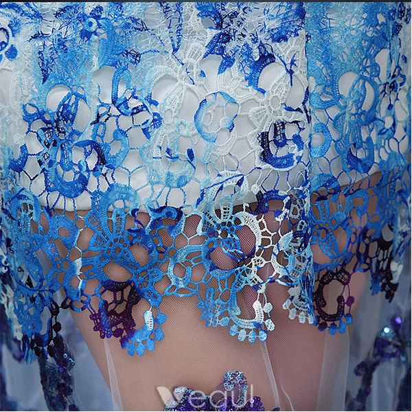 Sexy Evening Dresses 2016  Scoop Neckline Printing Flowers Sequins Tulle Dress