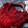 Schöne Rote Cocktailkleid 2016 Kurze Spitze Partykleidar Mit Schärpe