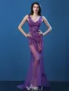 Sexy Spitze Abendkleider 2016 Meerjungfrau Tiefem V-ausschnitt-spitze Tüll Rückenfrei Abendkleid