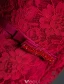 Elegant Burgundy Aftonklänningar 2016 Mermaid Beading V-ringad Långa Ärmar Spets Formell Klädsel Med Skärp