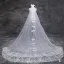 8 Styles Wedding Veils 2016 Beautiful Applique Lace 3 M Train 3 M Tailing Long Bridal Veil