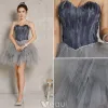 Sexy Cocktailkleider 2016 Schatzapplique Feder Grau Tüll Kurzes Kleid