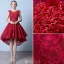 Elegant Cocktail Dresses 2016 Scoop Neck Applique Lace Asymmetrical Short Dress With Beads
