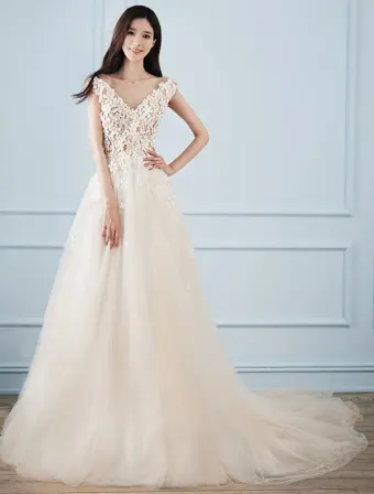 Schöne A Line Brautkleider 2017 V Ausschnitt Applique Blumen Champagner Tulle Brautkleider