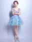 Flower Fairy Prom Dresses 2017 V-neck Applique Petals Ruffle Blue Tulle Occasion Dress