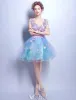 Kwiatowe Sukienki Na Bal 2017 V-neck Aplikacja Płatki Wzburzyć Niebieskim Tiulu Sukienki Wizytowe