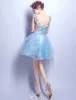 Kwiatowe Sukienki Na Bal 2017 V-neck Aplikacja Płatki Wzburzyć Niebieskim Tiulu Sukienki Wizytowe
