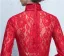 Robe De Soirée De Haute Cou Élégant Robe De Ceremonie Dentelle Rouge Avec Écharpe Bowknot