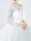 Elegant Wedding Dresses 2017 V-neck Applique Lace Ball Gown Bridal Gowns With Sleeves