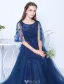 Sexy Blue Evening Dress Appliques Lace Long Formal Dress Backless