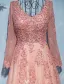 Glamorous Evening Dresses 2017 V-neck Applique Lace With Sequins Pearl Pink Lace Tulle Long Dress