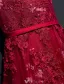 Glamorous Prom Dresses 2017 Scoop Neckline Applique Lace Burgundy Backless Dress