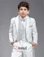 Kinderen Smoking / Vest Pak / Prestaties Kleding / Kleine Kostuums Set / Ring Aan Toonder Pakken