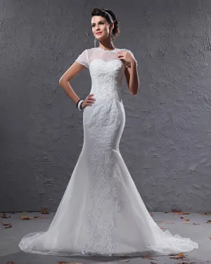 Elegante Organza Applique Kralen Sier Vloerlengte Rechter Trein Zeemeermin Bruidsjurken Trouwjurken