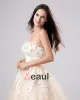 Applique Yarn Tea Length Strapless Mini Bridal Gown Wedding Dress