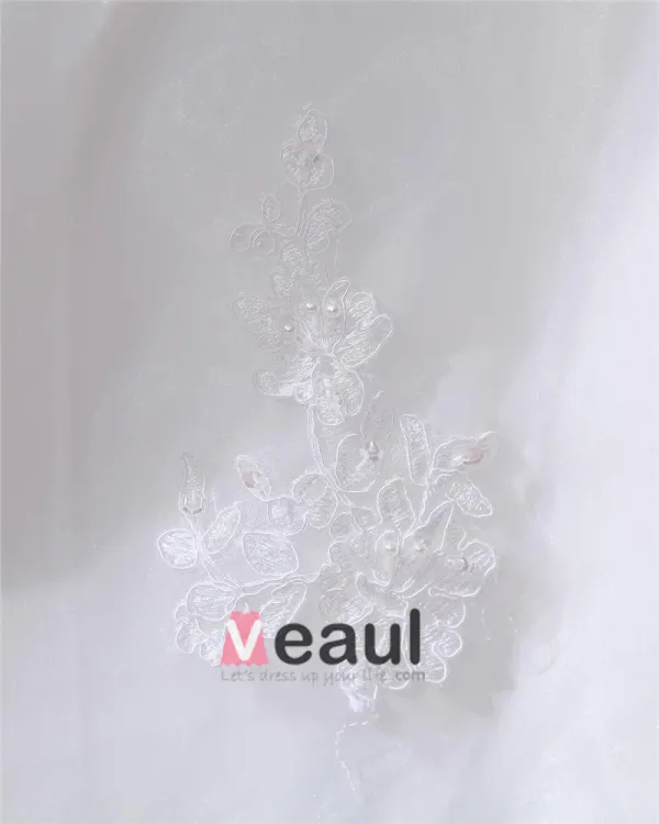 Elegant Organza Sweetheart Applique Beading Empire Chapel Train Plus Size Wedding Dresses