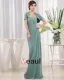 Sweetheart Short Sleeve Zipper Ruffle Floor Length Chiffon Mother of the Bride Dress