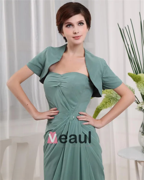 Sweetheart Short Sleeve Zipper Ruffle Floor Length Chiffon Mother of the Bride Dress