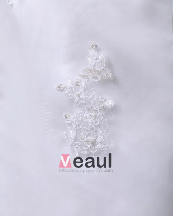 Applique Single Breasted Back Semi Cathedral Satin Organza Sheath Wedding Dress
