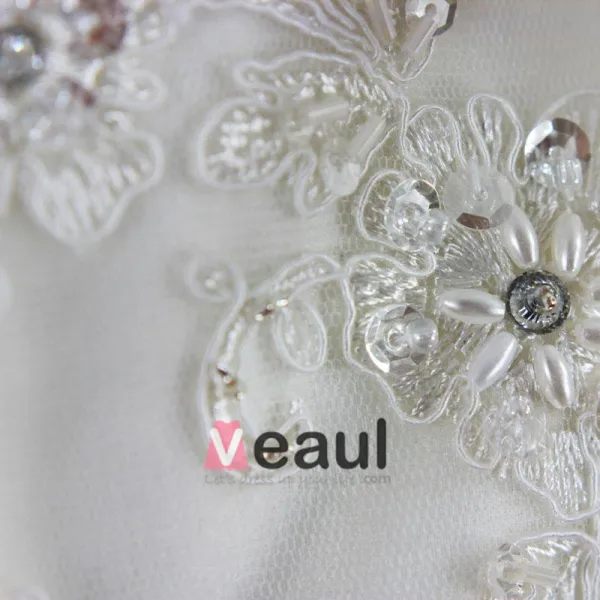 Tulle Organza Lace Beading Applique Strapless Floor Length Chapel Train A-Line Wedding Dress