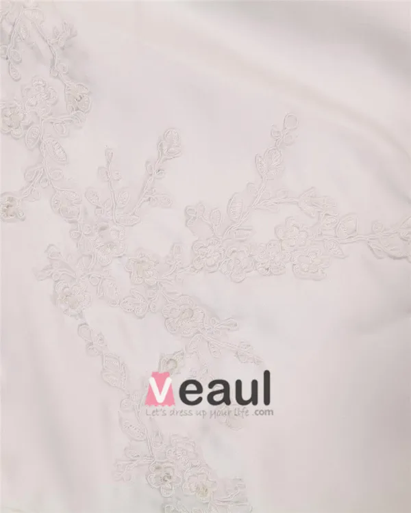 A-ligne Col En V Balayage Sans Manche Plus La Robe De Mariée De Taille