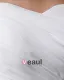 Einen Schulter Plissierte Bodenlangen Chiffon Frau Reich Hochzeitskleid