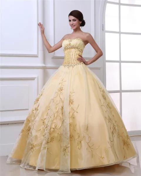Ball Gown Appliques Quinceanera Prom Dresses Ball Gown Appliques Quinceanera Prom Dresses