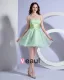 A Line Strapless Organza Short Mini Homecoming Dress