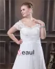 A-Line V Neck Short Sleeve Sweep Satin Organza Lace Plus Size Wedding Dress
