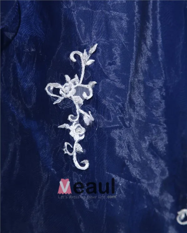 Organza Taft Rufsar Applique V Hals Golv Langd Balklänningar