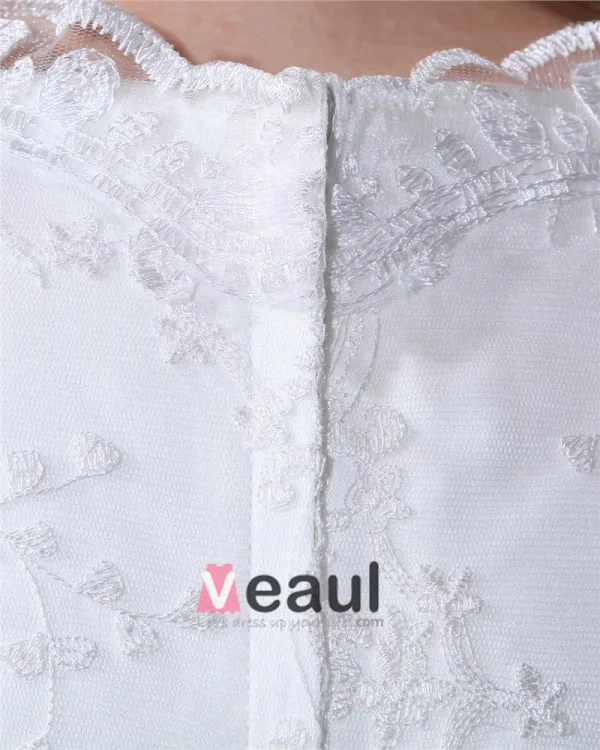 Lace V Neck Plus Size Bridal Gown Wedding Dresses