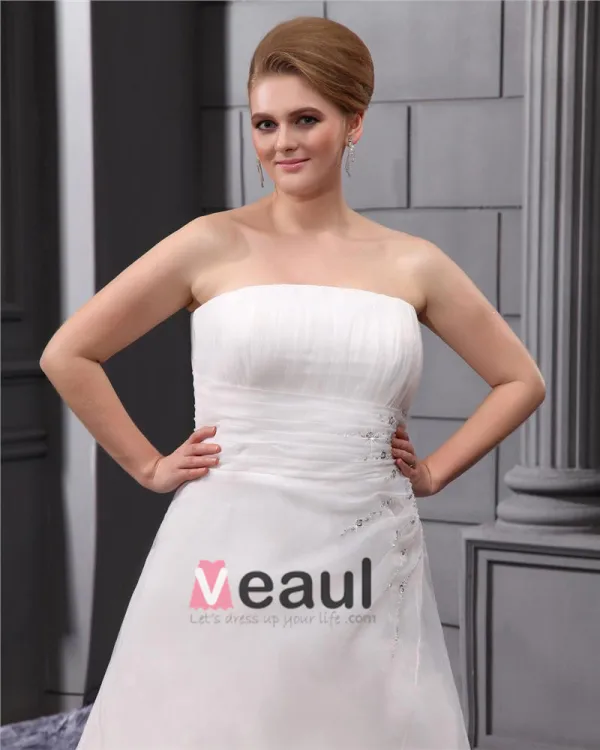 Elegant Tribunal Bretelles En Mousseline Une Ligne De Mariée Plus La Taille Robe De Mariée
